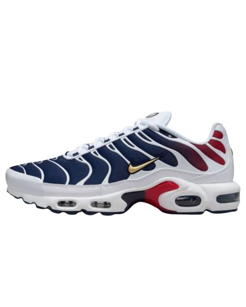 Air Max Plus TN PSG